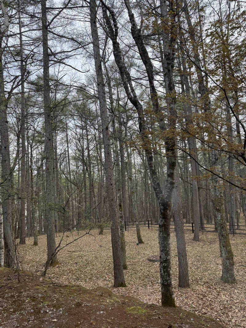 蒸達磨 むしだるまさんのエクシブ蓼科のサ活写真