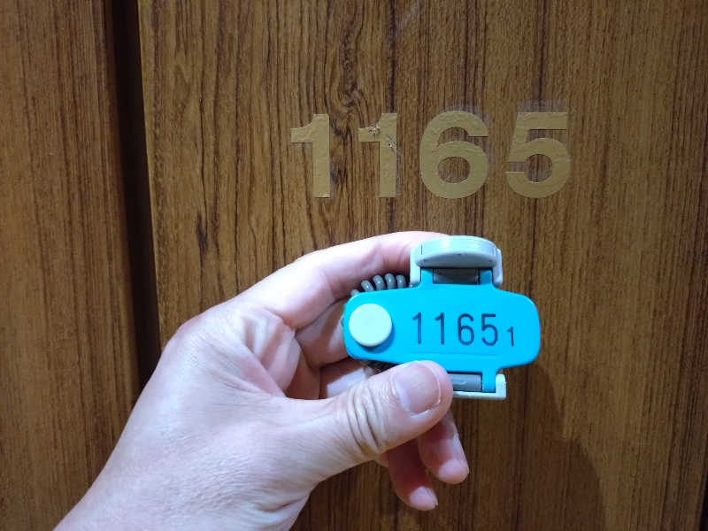 コムチンさんの東京天然温泉 古代の湯のサ活写真