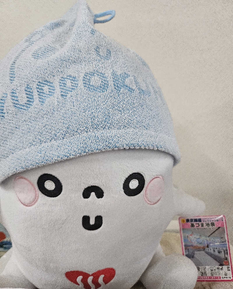 ありサさんのあづま浴泉のサ活写真
