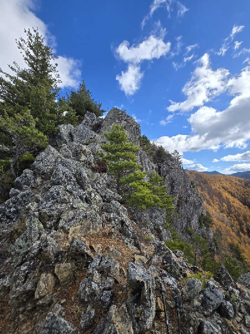 KOUJI😂さんの南相木温泉 滝見の湯のサ活写真