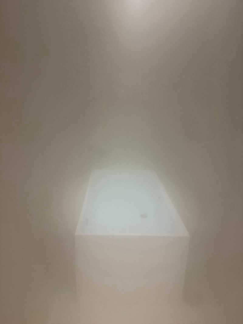 AYNさんのSAUNA汽汽のサ活写真