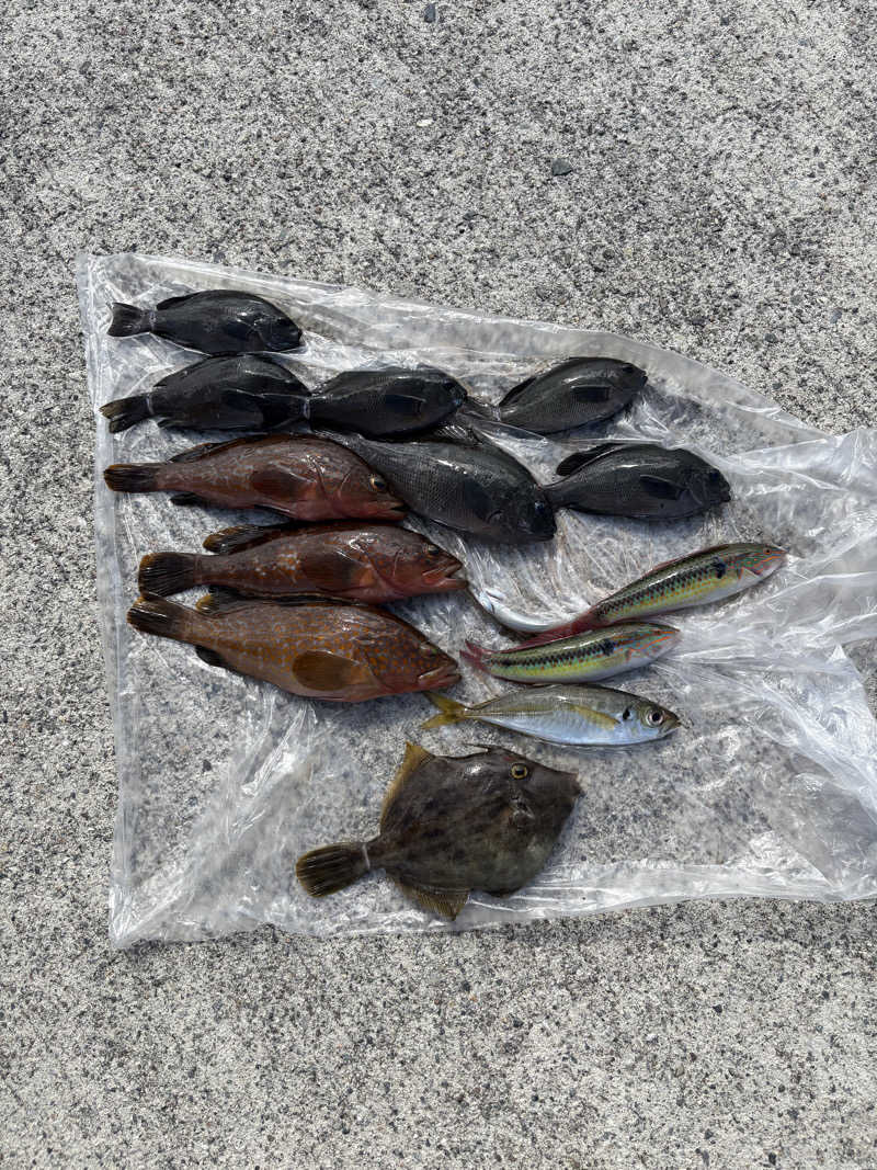 ずんださんの信州健康ランドのサ活写真