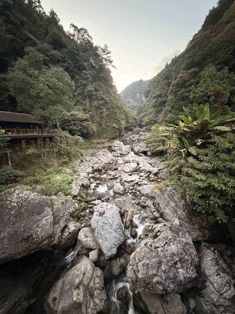 サウナに行く鹿🦌さんの中津渓谷 ゆの森のサ活写真