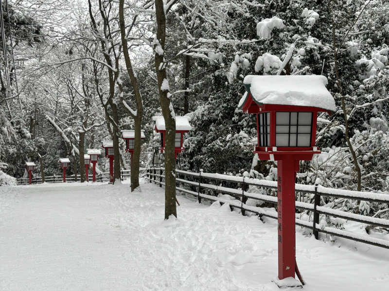 AZUSAUNAさんの京王高尾山温泉 極楽湯のサ活写真