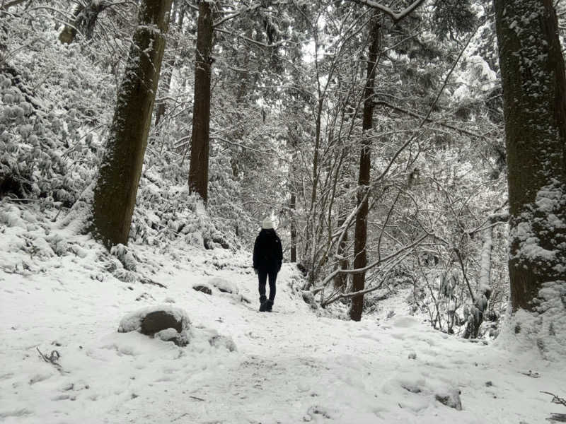 AZUSAUNAさんの京王高尾山温泉 極楽湯のサ活写真