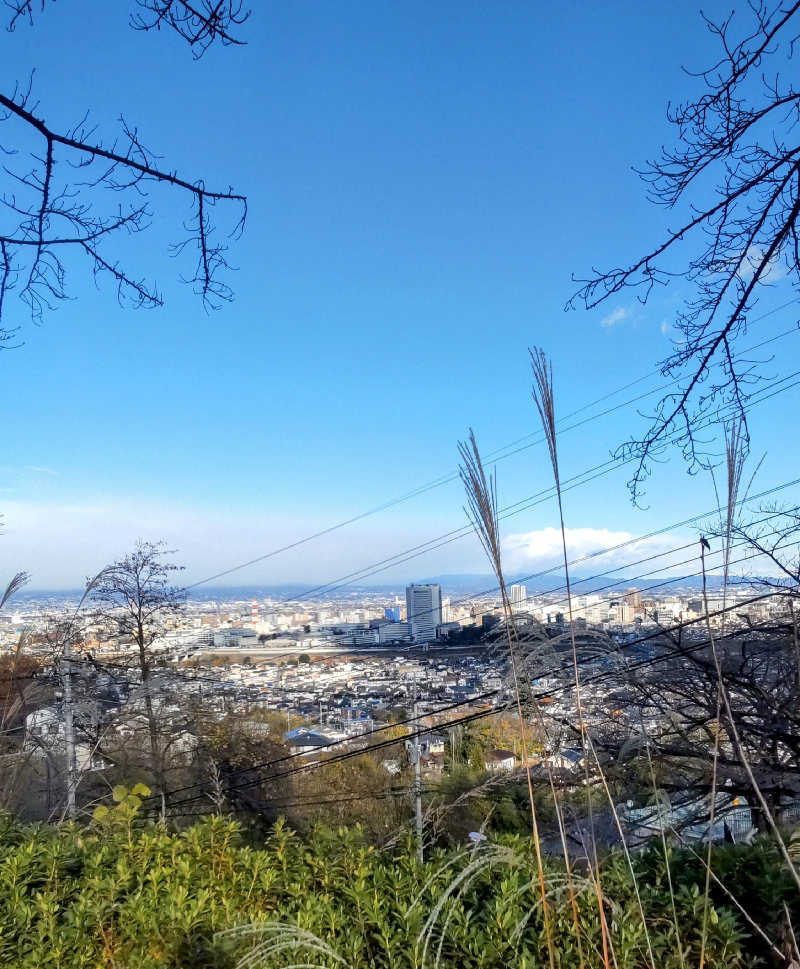 タカハンス・モッサリスキーさんの観音山サウナ蒸寺のサ活写真