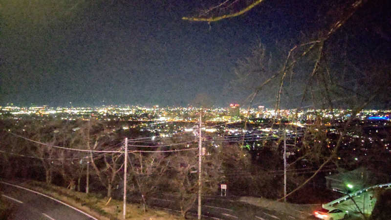 タカハンス・モッサリスキーさんの観音山サウナ蒸寺のサ活写真