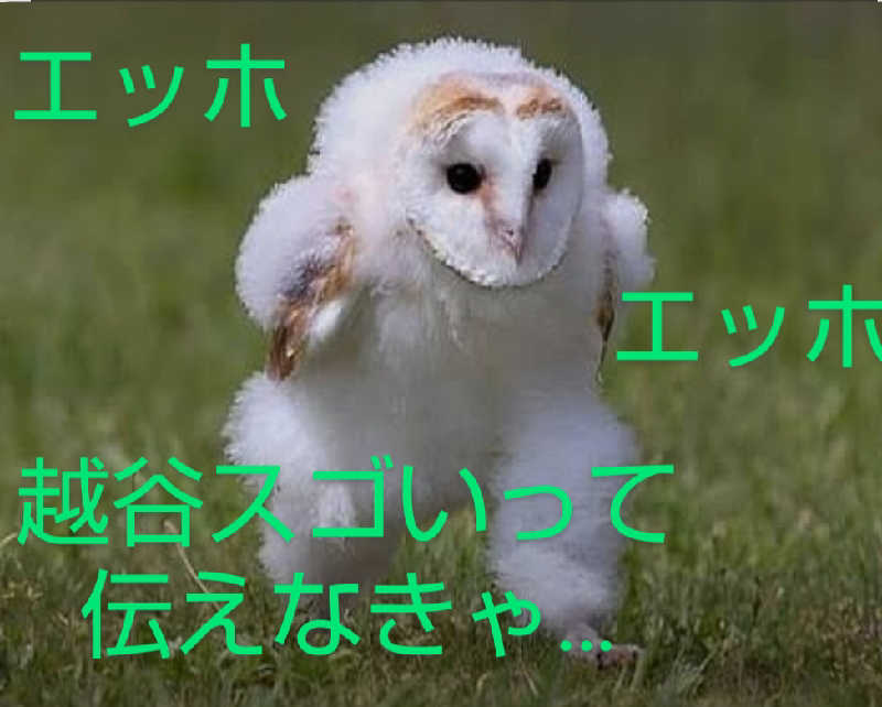 タカハンス・モッサリスキーさんの毎日サウナ 越谷店のサ活写真
