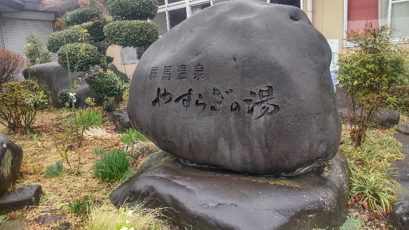 タカハンス・モッサリスキーさんの群馬温泉 やすらぎの湯のサ活写真