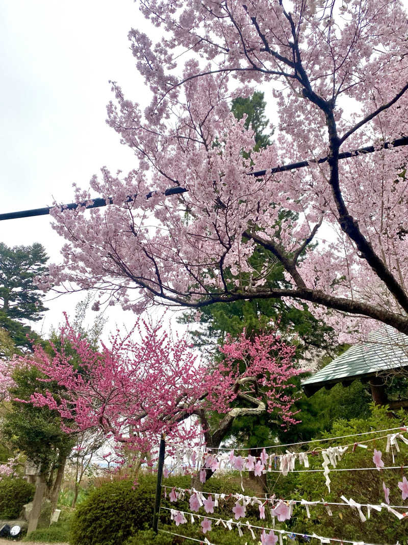 Yuka.さんのわくや天平の湯のサ活写真