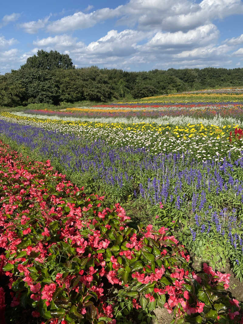 Yuka.さんの保養センターやくらい薬師の湯のサ活写真