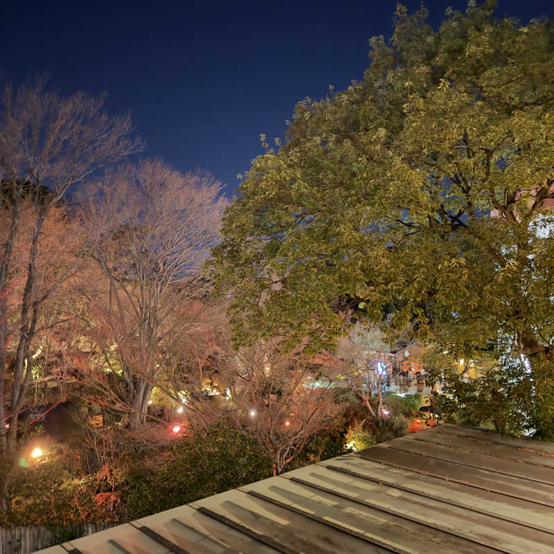 らぶりさんの豊島園 庭の湯のサ活写真