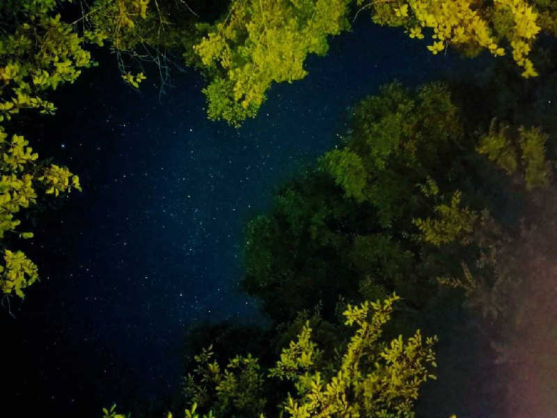 Sr(サウナー).Doomさんの大渡キャンプ場のサ活写真