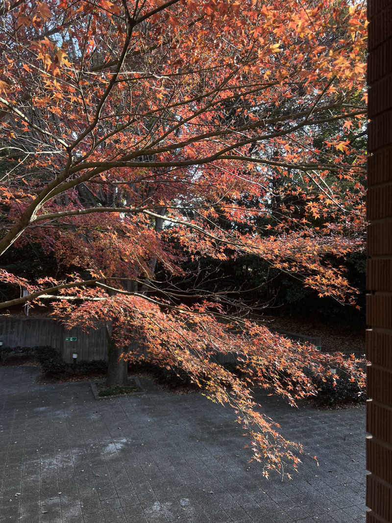 🍋さんのグランレクトーレ湯河原(TKP HOTEL&RESORT)のサ活写真