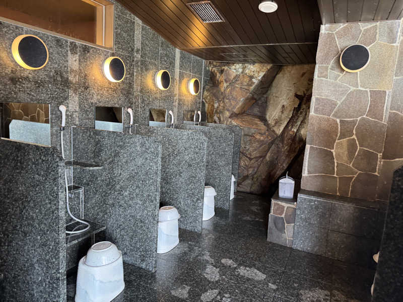 MasaoFさんの絶景露天風呂の宿 銀波荘のサ活写真