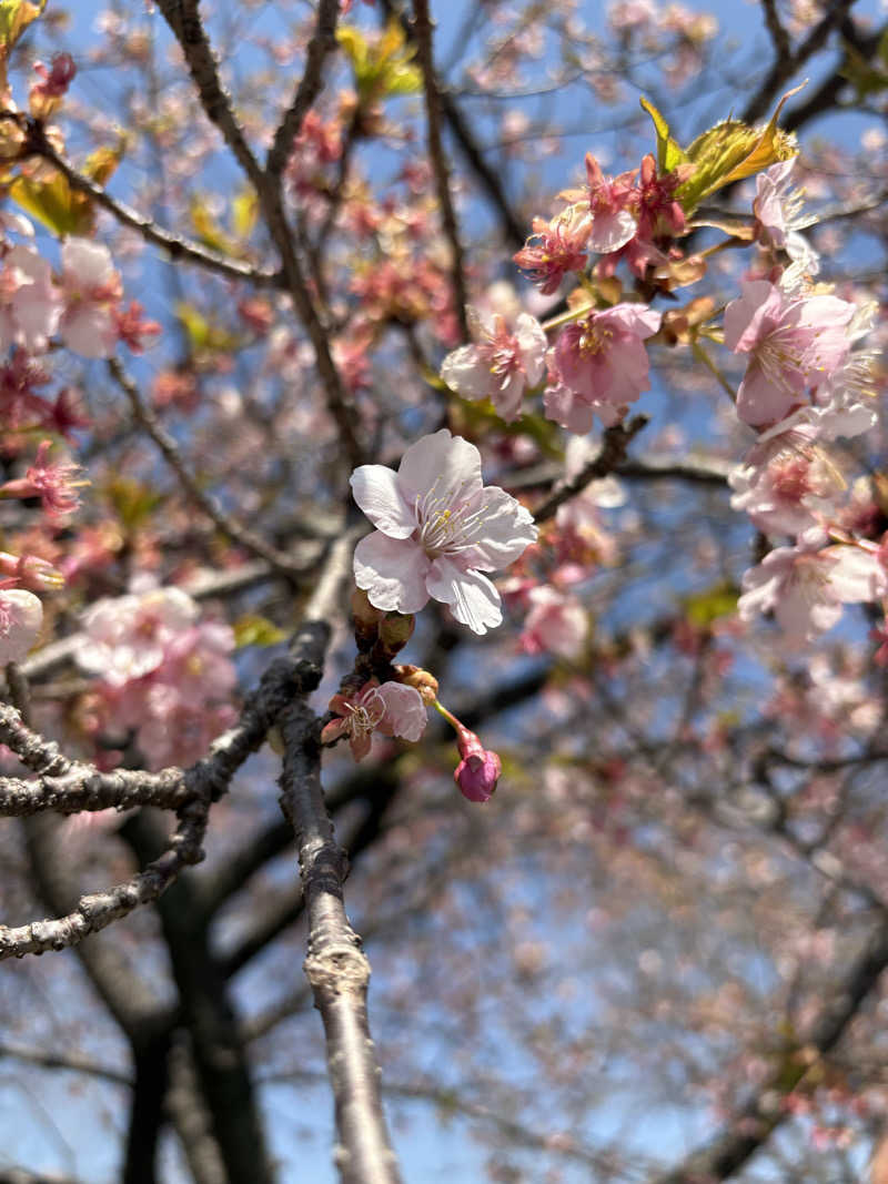 simさんの阿蘇白水温泉瑠璃のサ活写真