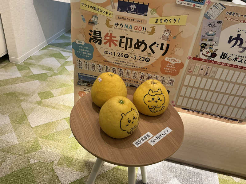 サっぷさんのぽかぽか温泉 新守山乃湯のサ活写真