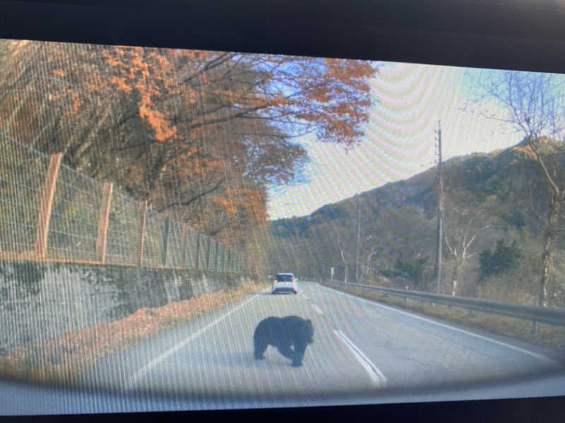 minaさんのひらゆの森のサ活写真