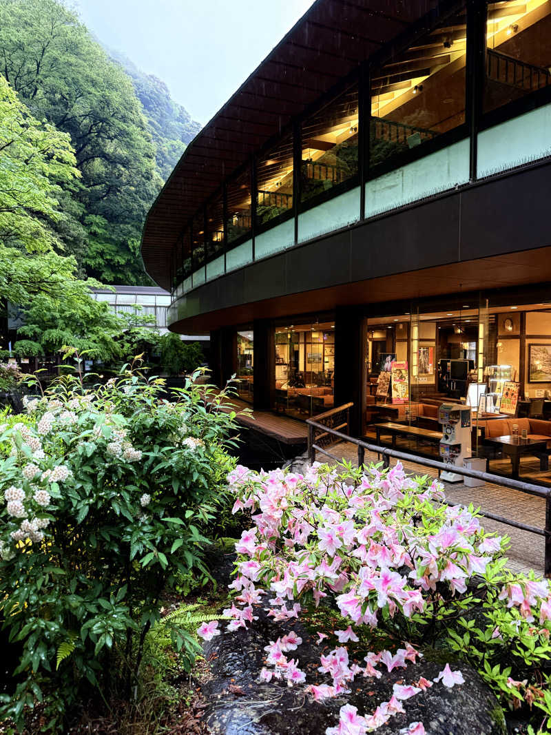 かのさんの箱根湯本温泉 天成園のサ活写真