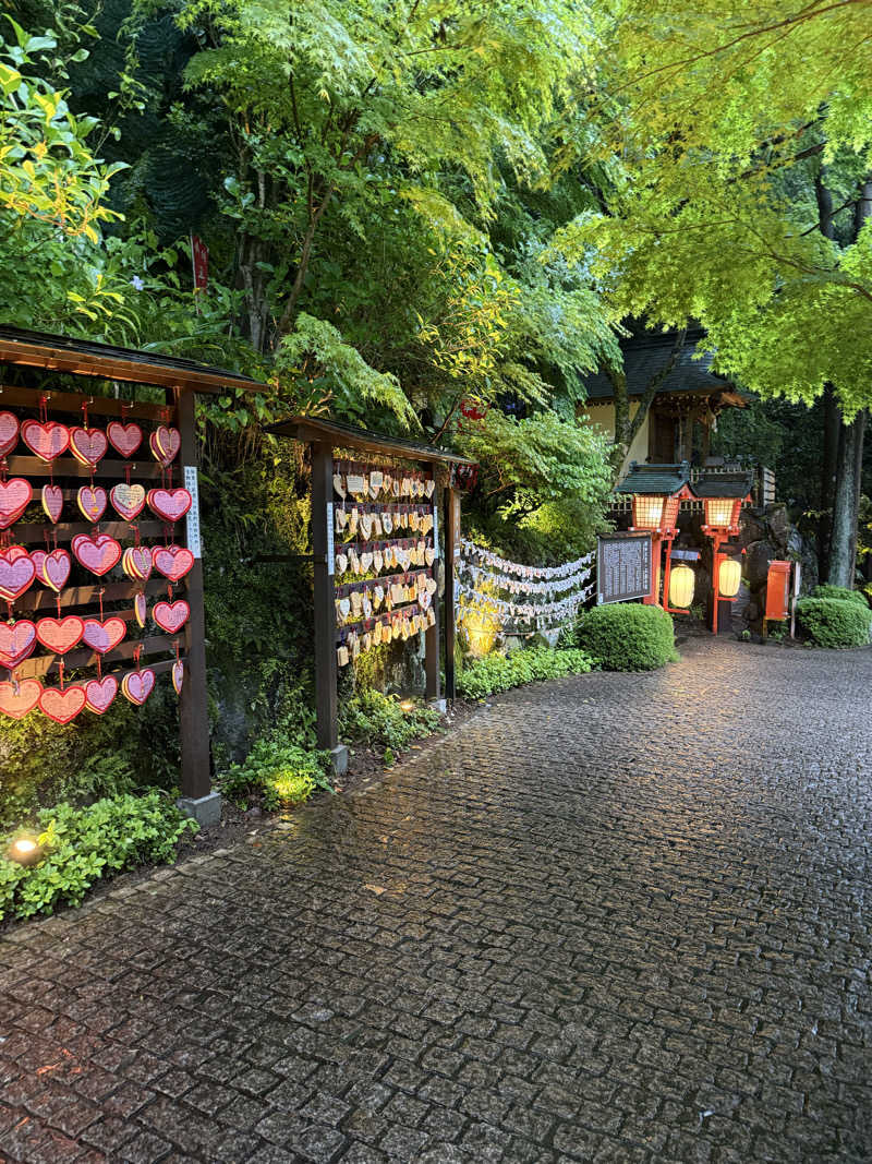 かのさんの箱根湯本温泉 天成園のサ活写真
