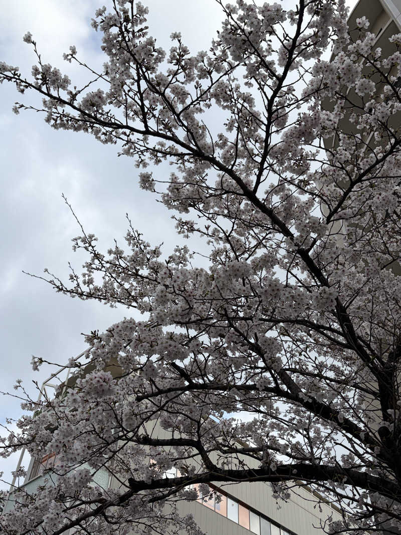 AGFLYさんの堀田湯のサ活写真