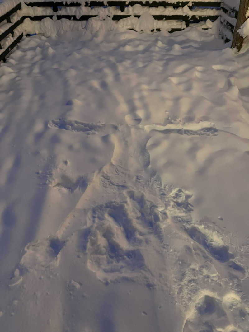 ほっちゃんさんのしぇろくまサウナ&カフェのサ活写真