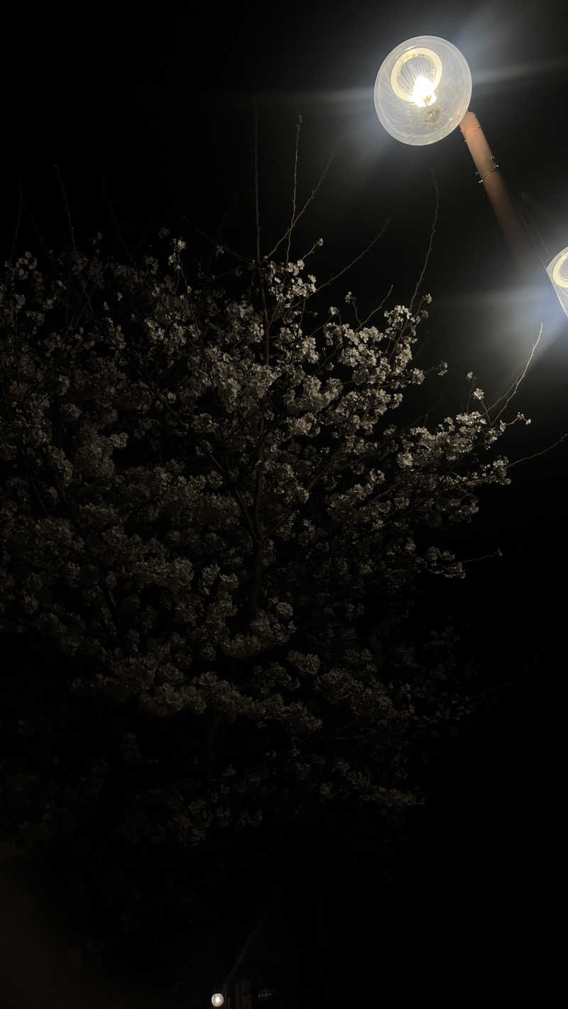 ジェファ二ーさんの仙川湯けむりの里のサ活写真