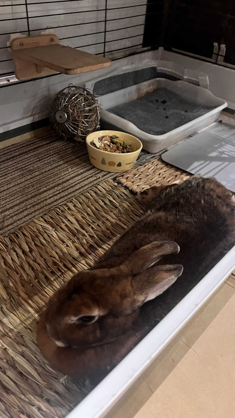 ジェファ二ーさんの深大寺天然温泉 湯守の里のサ活写真