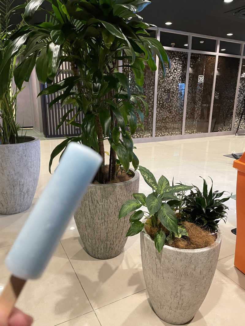 なみしゅん♨️さんの3S HOTEL ATSUGIのサ活写真