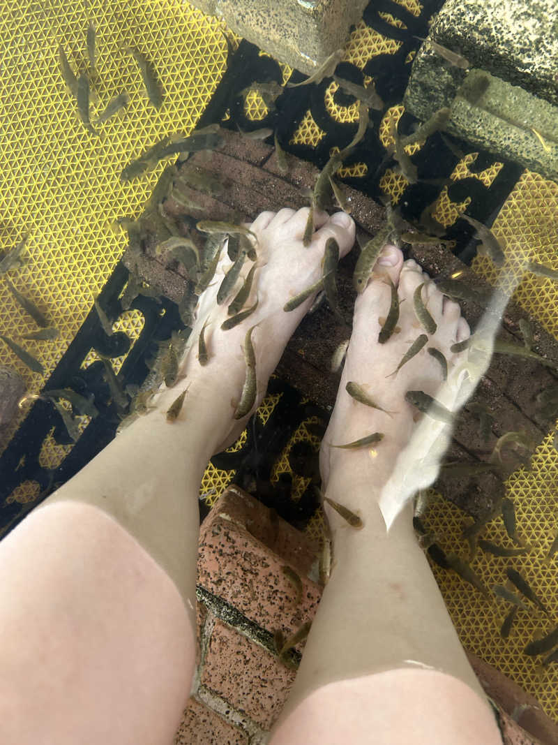 ぷにまる 🧸𓈒 𓂂𓏸さんの七沢荘のサ活写真