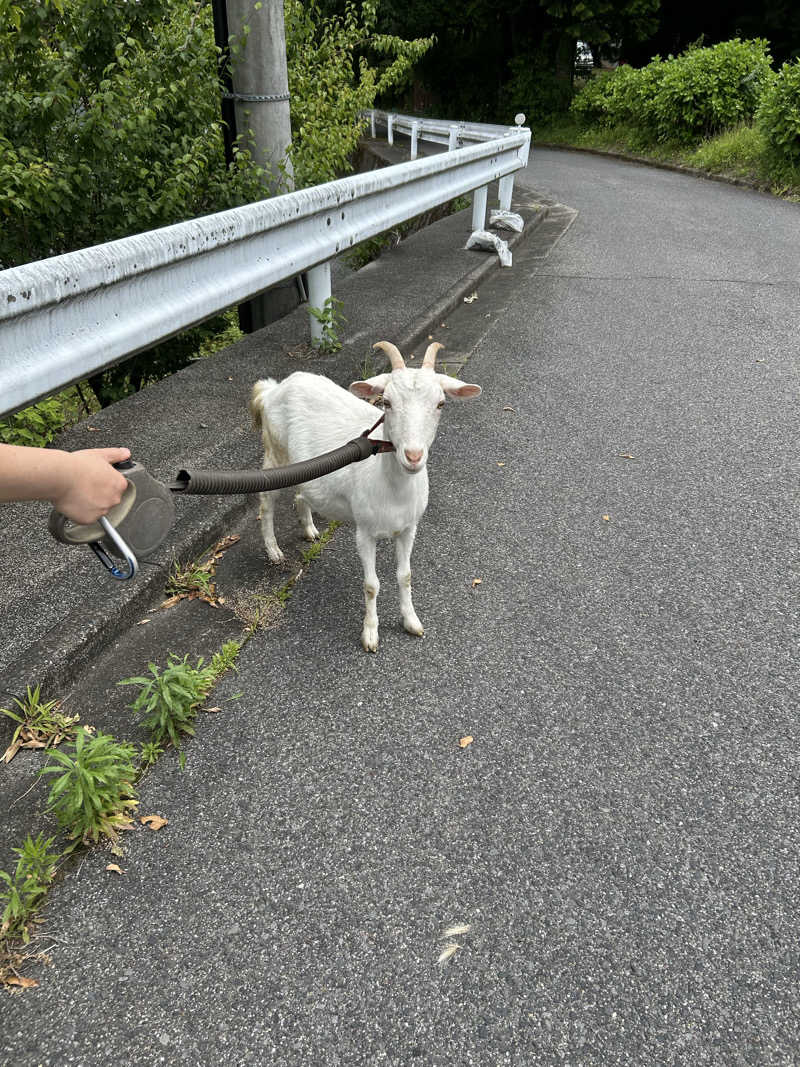 ぷにまる 🧸𓈒 𓂂𓏸さんのさぷらすのサ活写真