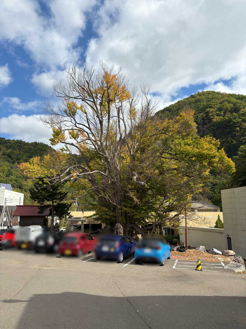 Flashbacksさんの小金湯温泉 湯元 小金湯のサ活写真