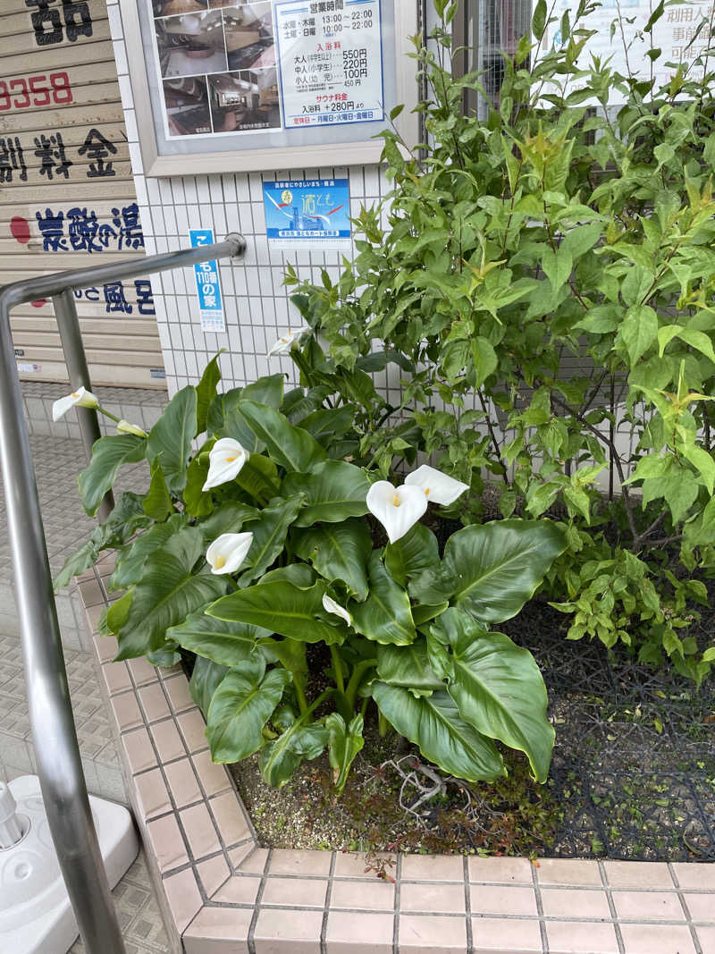 ヴイさんの亀遊舘のサ活写真