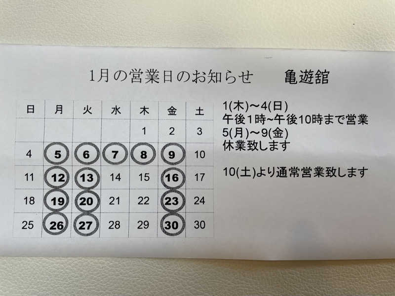 ヴイさんの亀遊舘のサ活写真