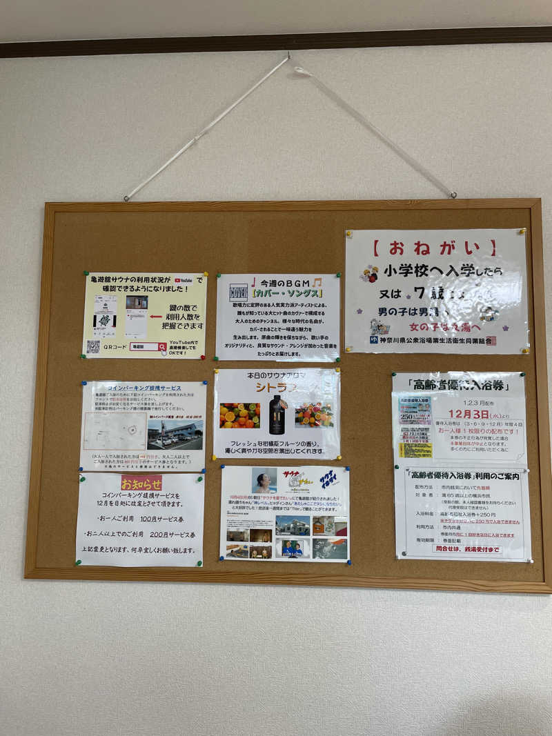ヴイさんの亀遊舘のサ活写真