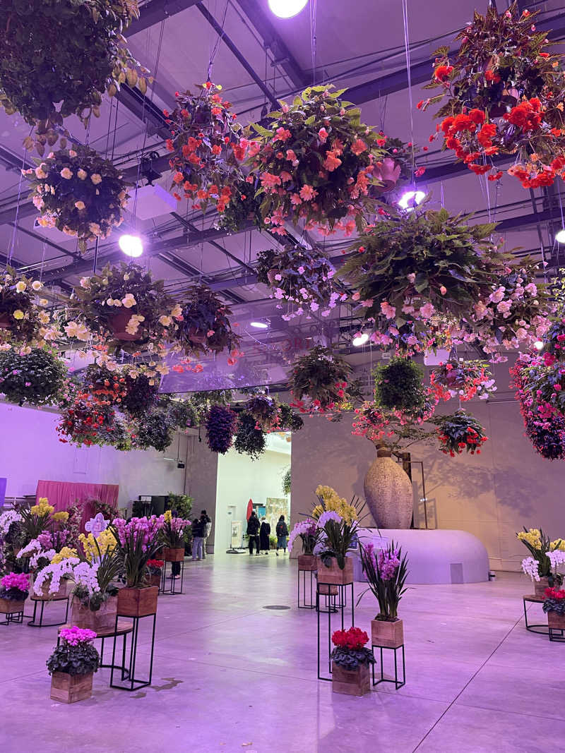 ヴイさんのよみうりランド眺望温泉 花景の湯のサ活写真