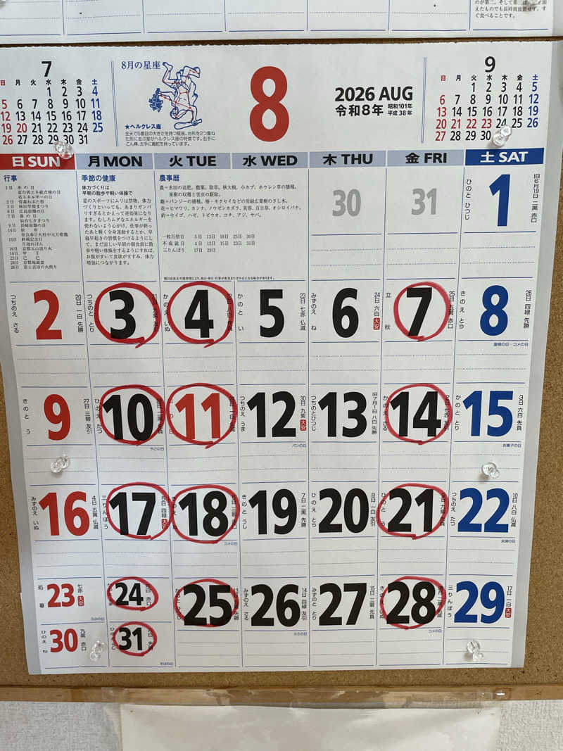 ヴイさんの亀遊舘のサ活写真