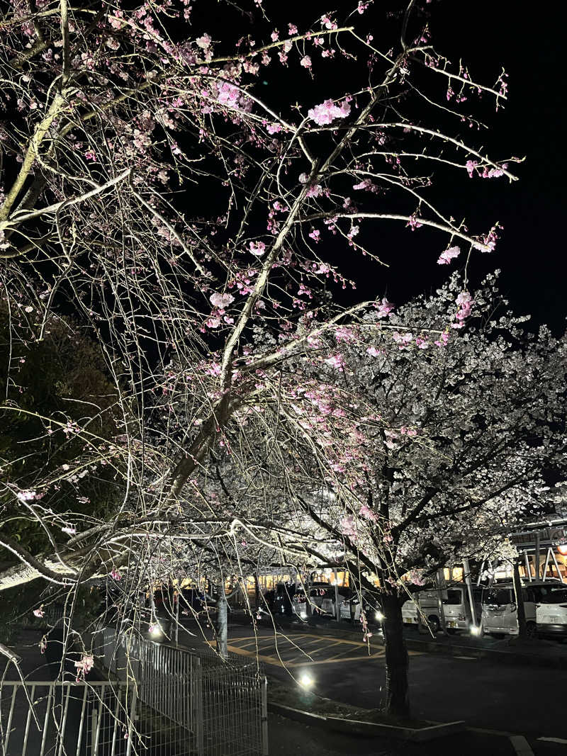 fukuimonさんのスパリゾート雄琴 あがりゃんせのサ活写真