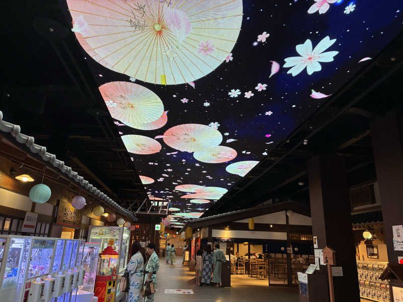 ただ水風呂が好きさんの東京湯楽城のサ活写真