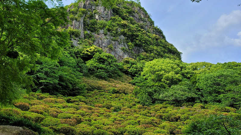 TKさんの御船山楽園ホテル  らかんの湯のサ活写真