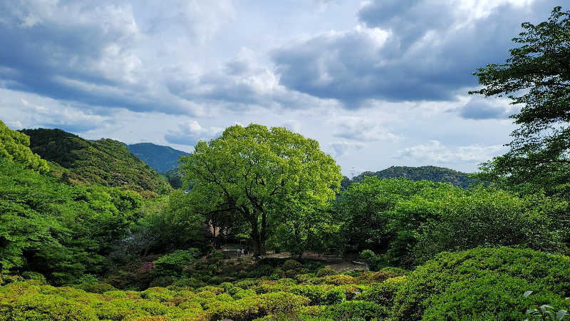 TKさんの御船山楽園ホテル  らかんの湯のサ活写真