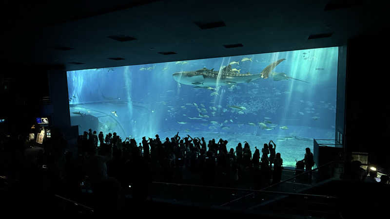 爆燃kcalさんの田家の湯のサ活写真