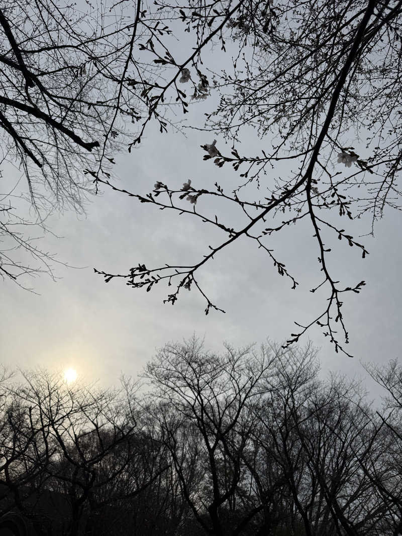 さうなわんこさんの美しの湯のサ活写真