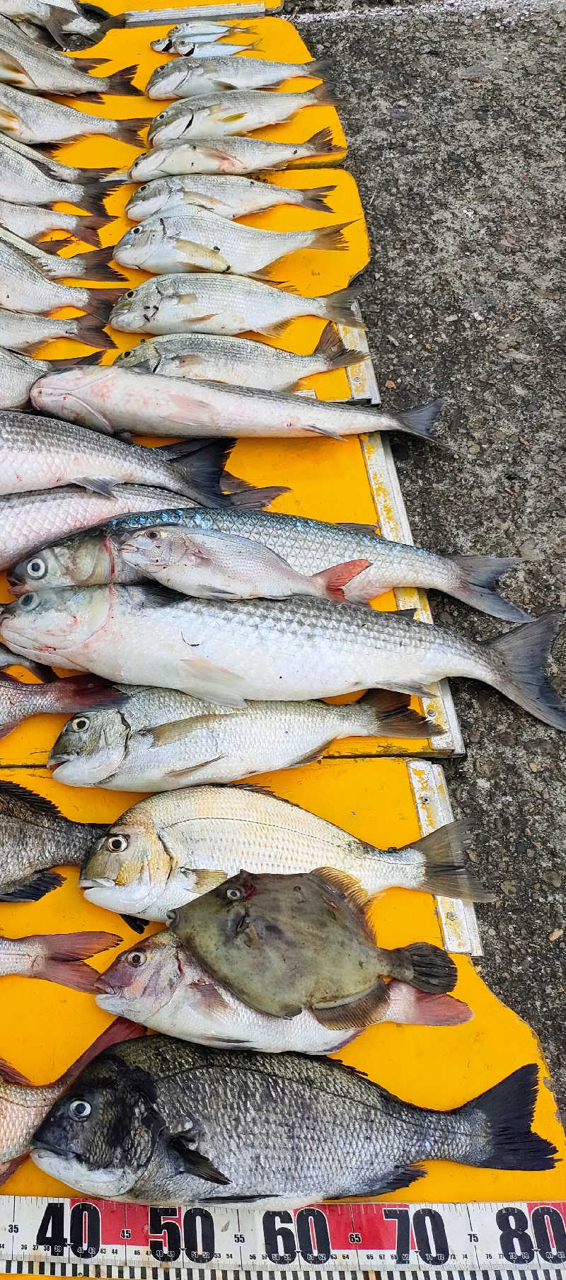 サウナイキタロウさんの石段の郷 佐俣の湯(道の駅 美里 佐俣の湯)のサ活写真