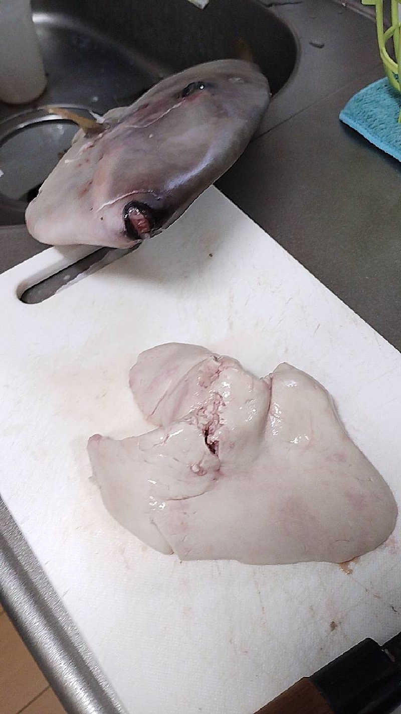 サウナイキタロウさんの菊陽温泉・さんさんの湯(菊陽町総合交流ターミナルさんふれあ)のサ活写真