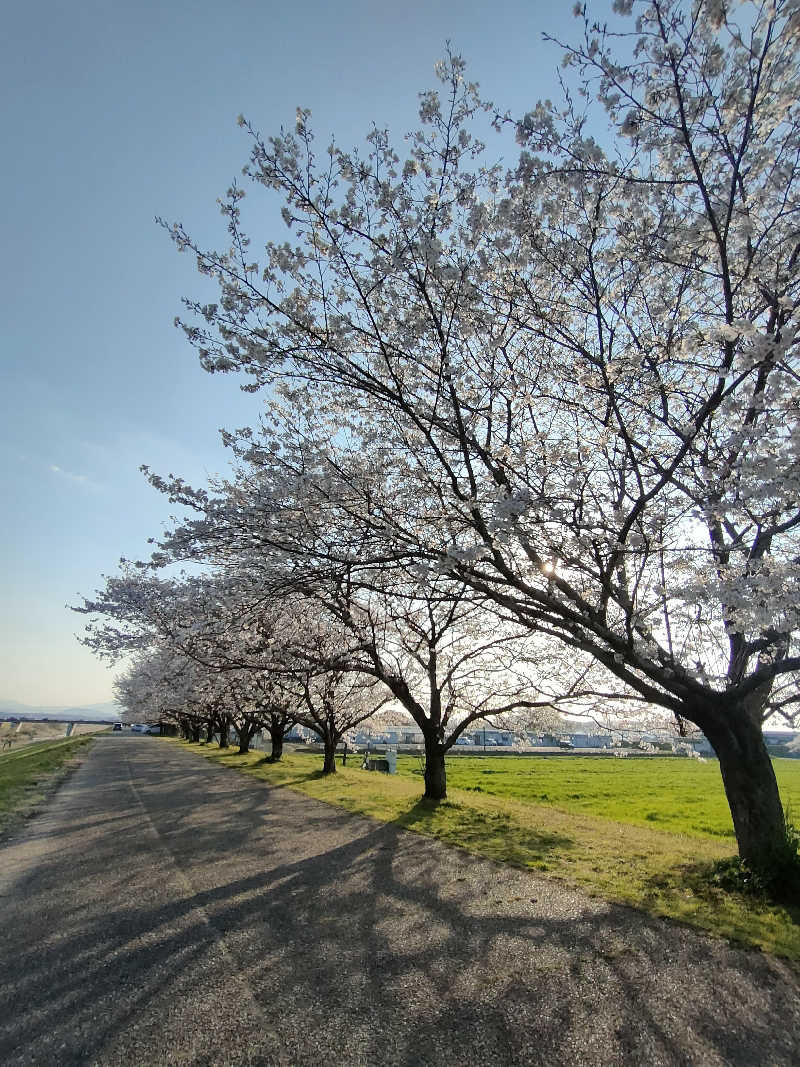 サウナイキタロウさんの天然温泉 湯花里(道の駅 水辺プラザかもと)のサ活写真