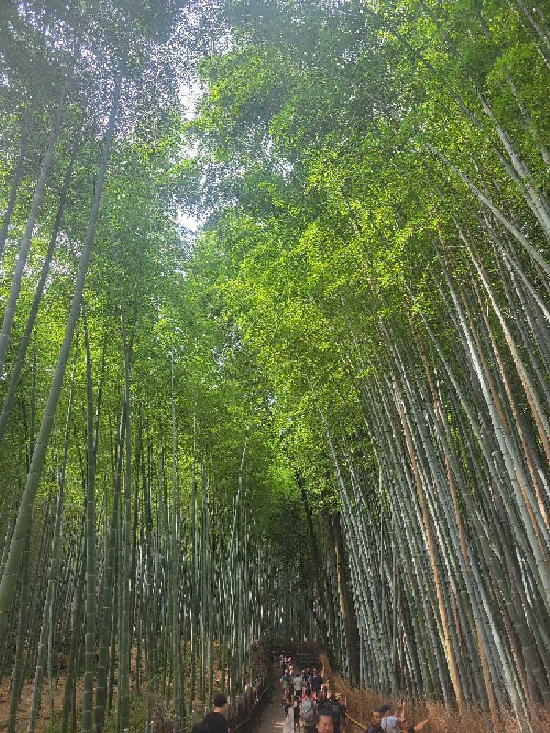 keiko.kさんの風風の湯のサ活写真