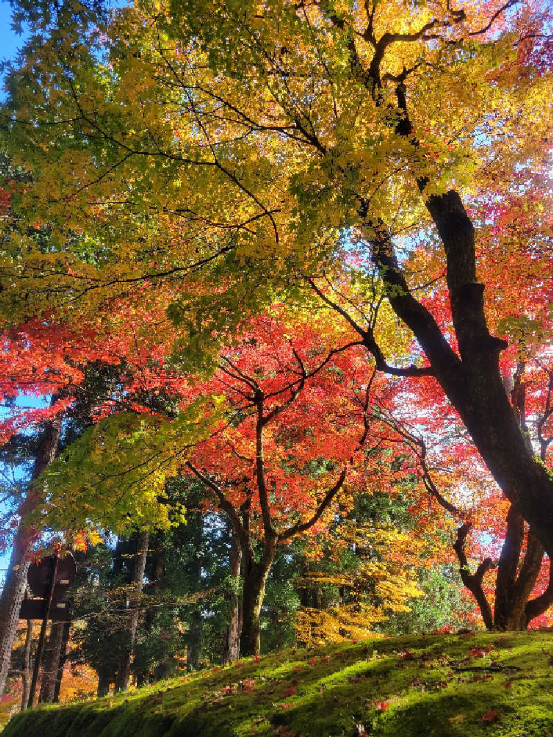 keiko.kさんの小山思川温泉のサ活写真