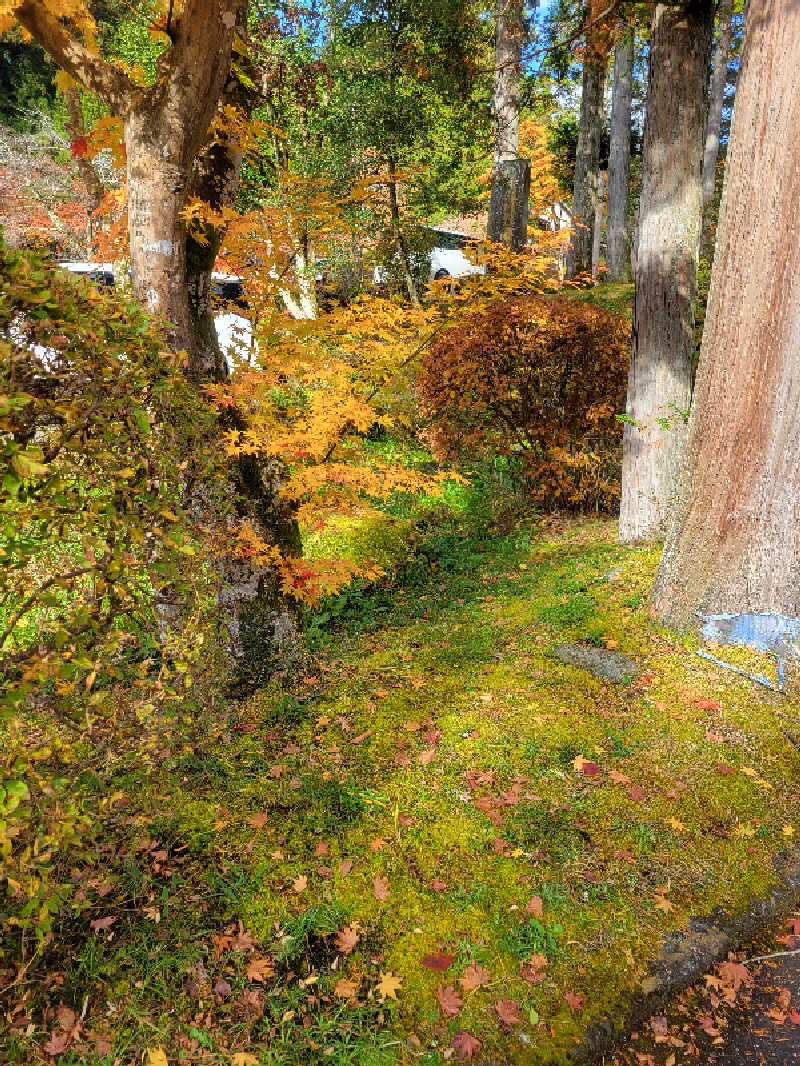 keiko.kさんの小山思川温泉のサ活写真