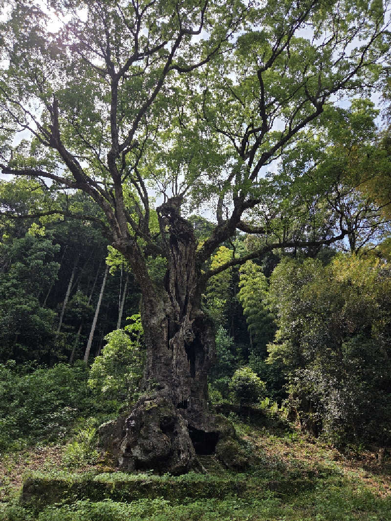 keiko.kさんの御船山楽園ホテル  らかんの湯のサ活写真